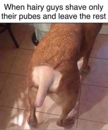 FB_IMG_1656443835578