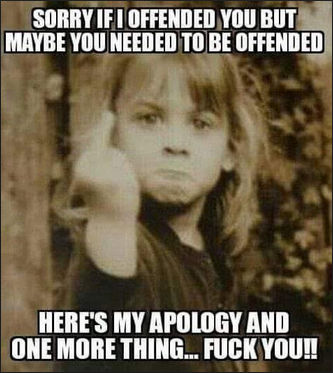sorry of i offended you