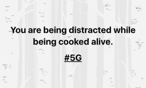 Screenshot_20220622-175234_MeWe