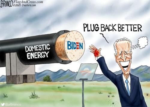 afc4466a-a287-4251-a96b-602a8e564294