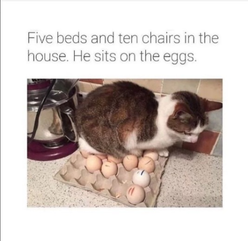 captures_chrome-capture-2022-5-1 (20)