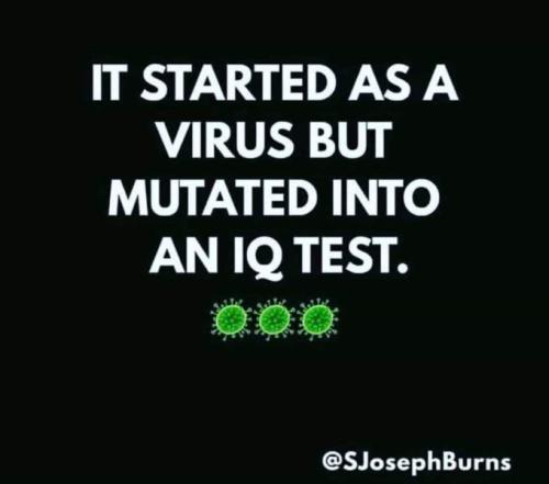 tumblr_773ce56cbd941617bdf9e3628d469ca1_31ec55f1_1280