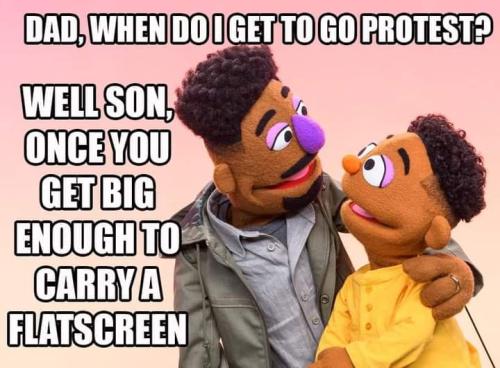 when can I protest wim