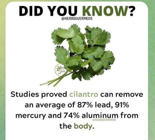 Screenshot_2022-06-09-06-42-21-574_com.facebook.mlite~2