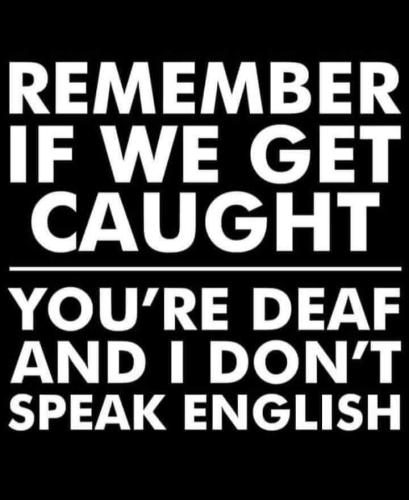 FB_IMG_1655189557759