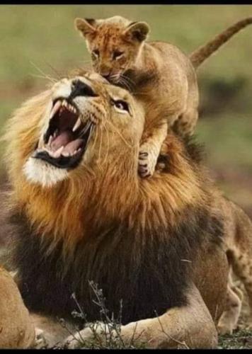 tumblr_784116eae2ffa5bd74f0c6207c70d691_c3024e6d_540