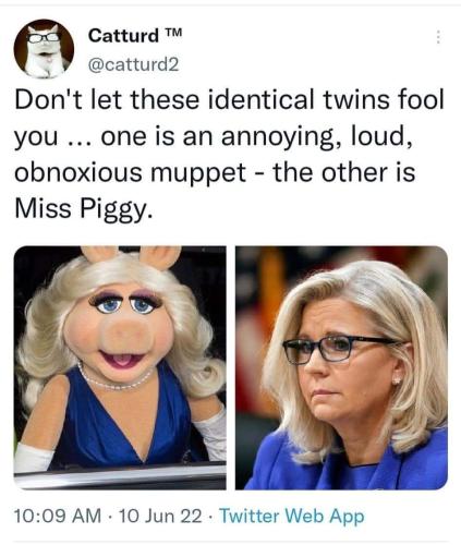 FB_IMG_1654964591357