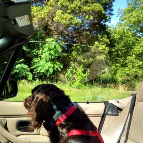 IMG_20220624_140233_722