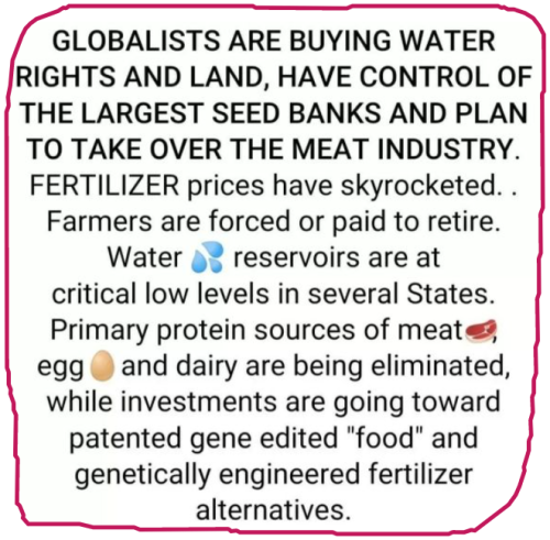 snapshot_www.tumblr.com_1654790556393