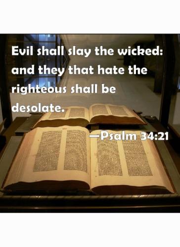 Screenshot_20220611-130231_Gallery