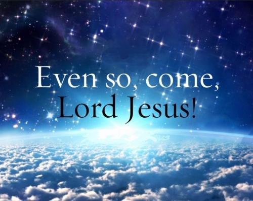 Screenshot_20220601-060713_DuckDuckGo