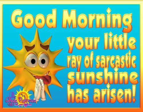 369831-Your-Little-Ray-Of-Sarcastic-Sunshine-Has-Arisen