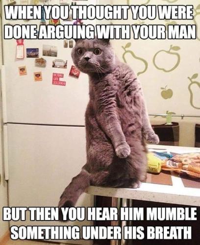 FB_IMG_1654530040407