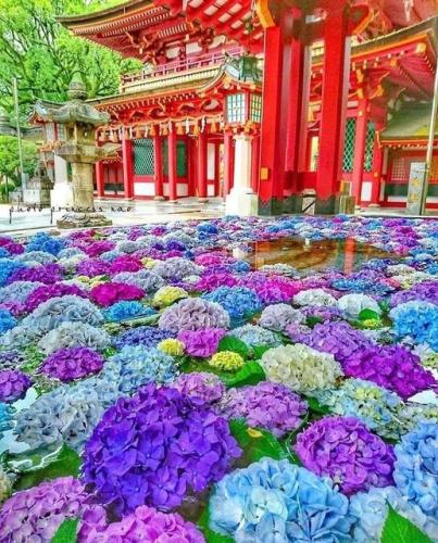 287845070_564180128611921_1381622246020954451_n