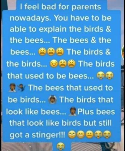 FB_IMG_1654636131279