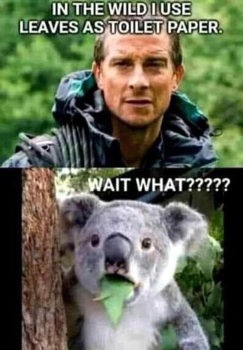 FB_IMG_1656524734004