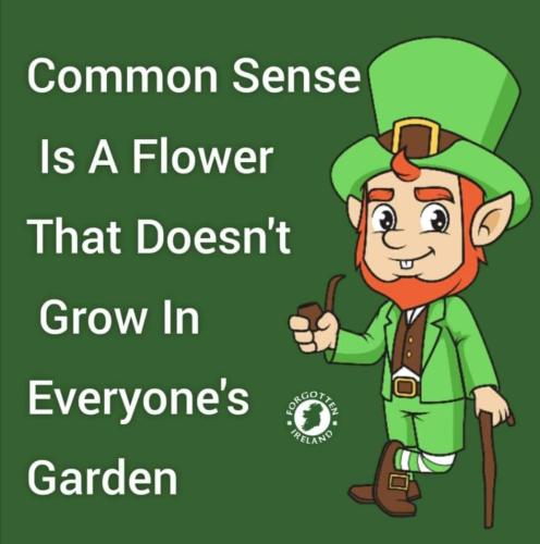 282624780_2103695796478578_4946583346602783079_n