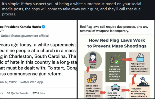 Red Flag Laws 1