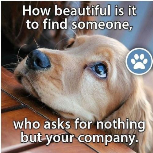 tumblr_73ed659ae0dbfb8a3888cf3f7b5a3bda_9277dd4e_540