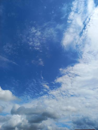 received_1354795571713937