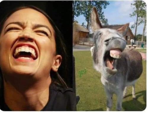 FB_IMG_1656064233251