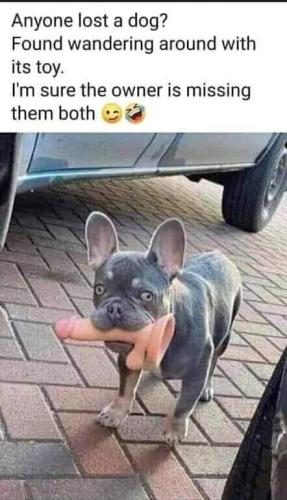 FB_IMG_1655915727646