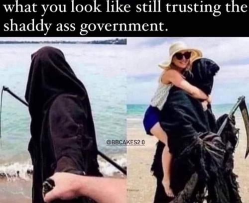 Gov 1