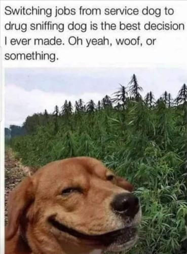 FB_IMG_1656099965224