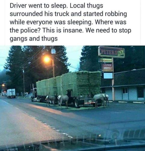 286394507_3485622991578064_1318063385497983791_n