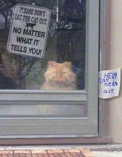 FB_IMG_1655139538466