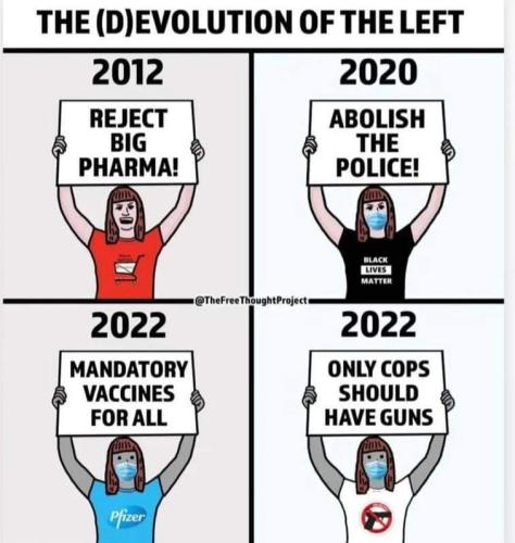 FB_IMG_1654043733572