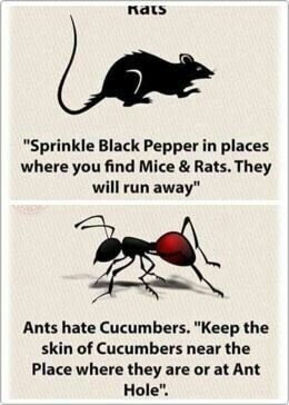 284878283_5058130474282155_7646907293191019978_n