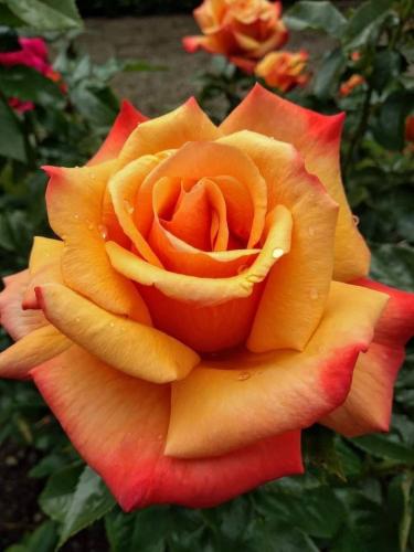 20:13:16 GMT-0500 (CDT)