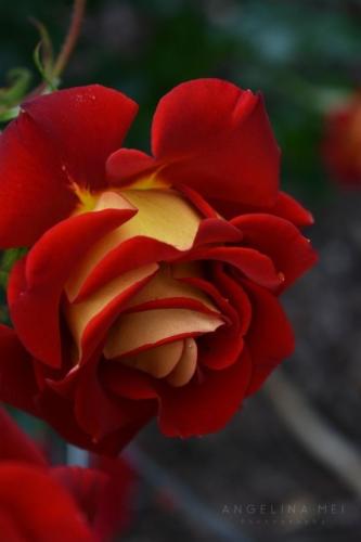 09:45:19 GMT-0500 (CDT)