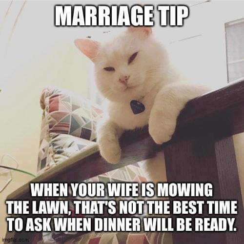 FB_IMG_1605763547040