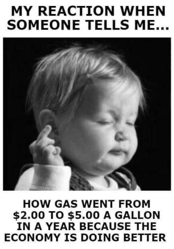 IMG_Wed Jun 15 20_43_03 EDT 2022