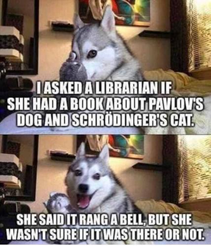 286701021_7664401200300948_7751831785511629485_n