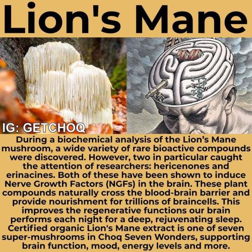 287948594_1134822003751187_3863651804708531000_n