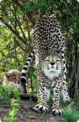 tumblr_cc92aabb66036c5951244fa46787cbfa_4cef1361_500