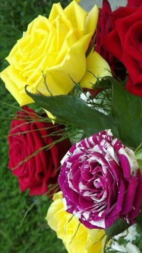 19:43:50 GMT-0500 (CDT)