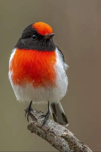 286404838_751841862837069_8984710545660744439_n