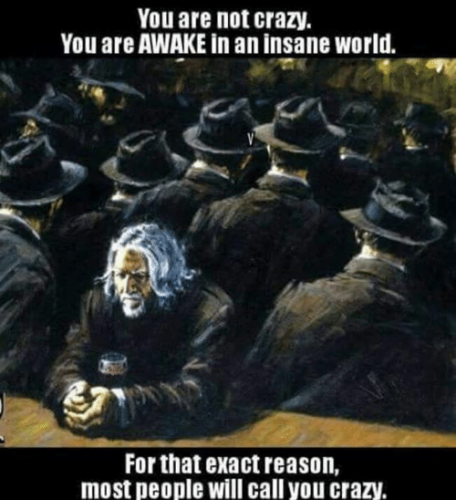you-are-not-crazy-you-are-awake-in-an-insane-6158025~2