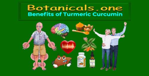 Botanicals.one - Turmeric Curcumin