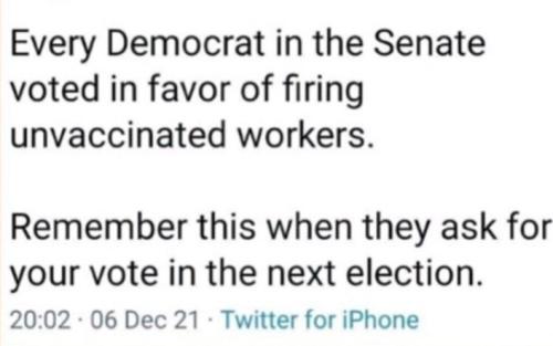 Screenshot_20220627-052330_Wimkin Free Speech Social Media