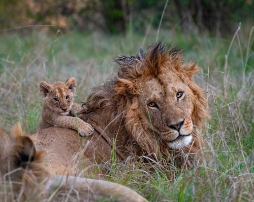 289376203_552136426361280_4179966852842735988_n