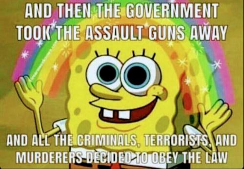 Gun Control Imagination 1