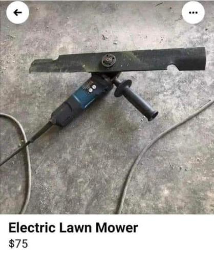 FB_IMG_1655911840118