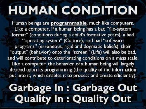 FB_IMG_1655086296577