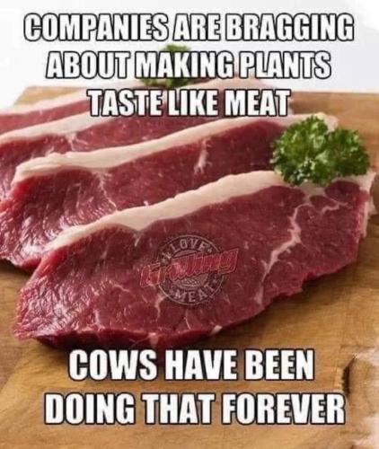 61786f23e928de1ca9149d21d91c1f20_1024