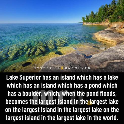 FB_IMG_1655045628427